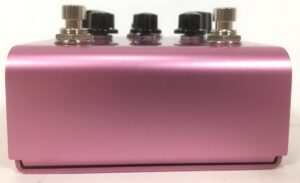 Strymon DIG Dual Digital Delay