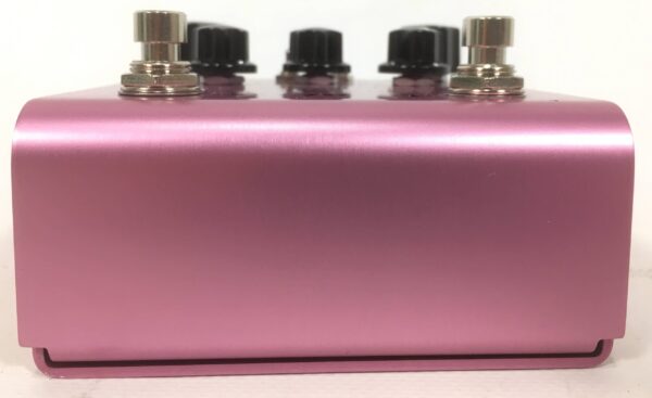 Strymon DIG Dual Digital Delay