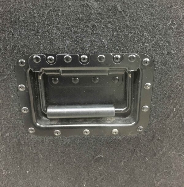SWR Goliath III 4 Ohm