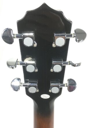 Sx Banijitar Banjo 6 corde con custodia