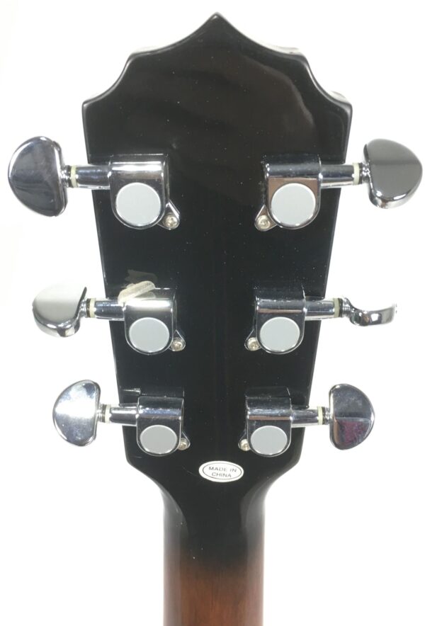 Sx Banijitar Banjo 6 corde con custodia