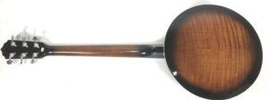Sx Banijitar Banjo 6 corde con custodia