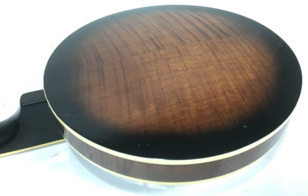 Sx Banijitar Banjo 6 corde con custodia