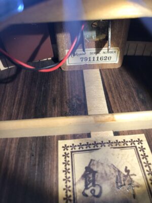 Takamine EC 128 1979