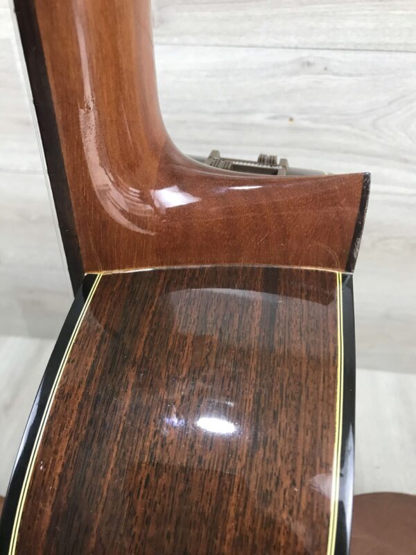 Takamine EC 128 1979
