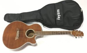 Takamine GD10NS