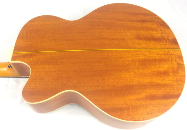 Takamine EG512C Natural basso acustico amplificato