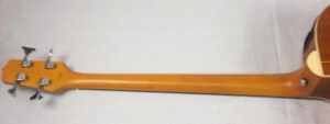 Takamine EG512C Natural basso acustico amplificato