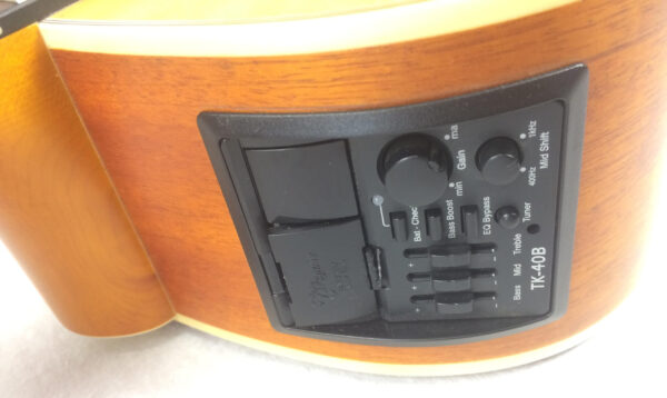 Takamine EG512C Natural basso acustico amplificato