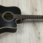 Takamine G Series EG321C