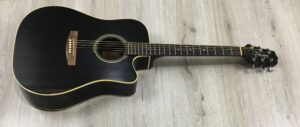 Takamine G Series EG321C