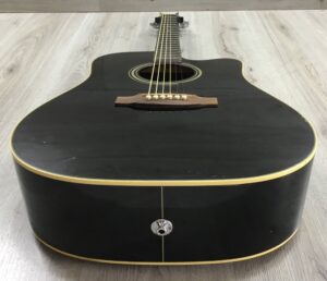 Takamine G Series EG321C