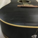 Takamine G Series EG321C