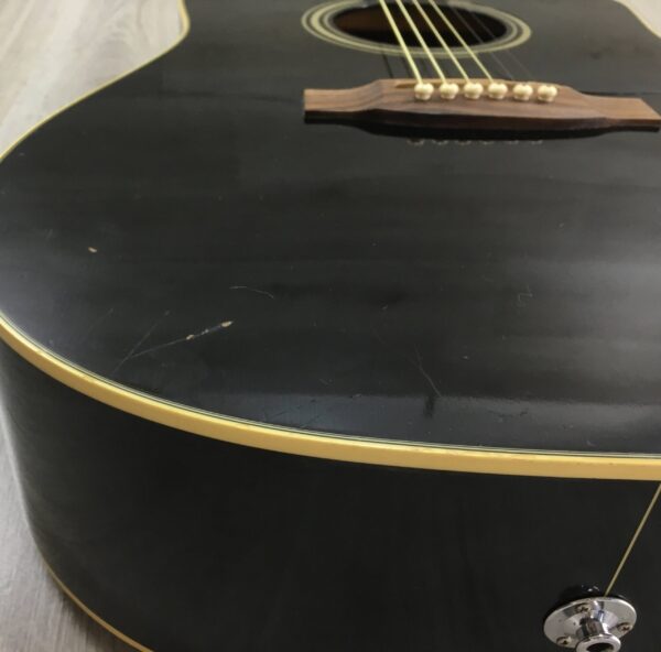 Takamine G Series EG321C