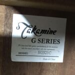 Takamine G Series EG321C