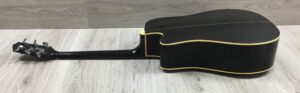Takamine G Series EG321C