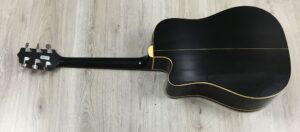 Takamine G Series EG321C