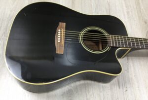 Takamine G Series EG321C