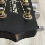 Takamine G Series EG321C