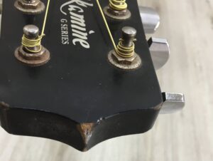 Takamine G Series EG321C