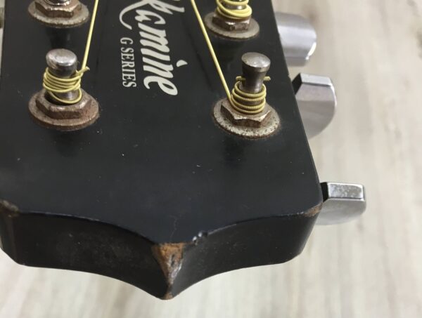 Takamine G Series EG321C