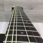 Takamine G Series EG321C