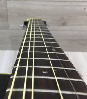 Takamine G Series EG321C