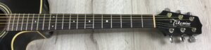 Takamine G Series EG321C