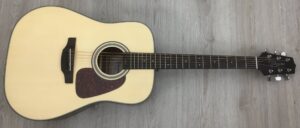 Takamine GD10NS