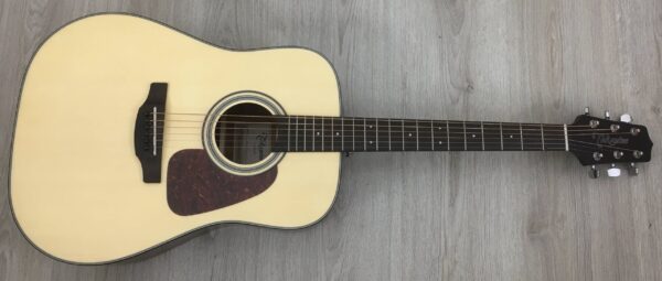 Takamine GD10NS