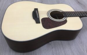 Takamine GD10NS