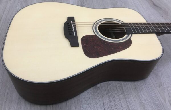 Takamine GD10NS