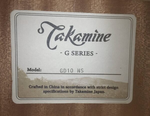 Takamine GD10NS
