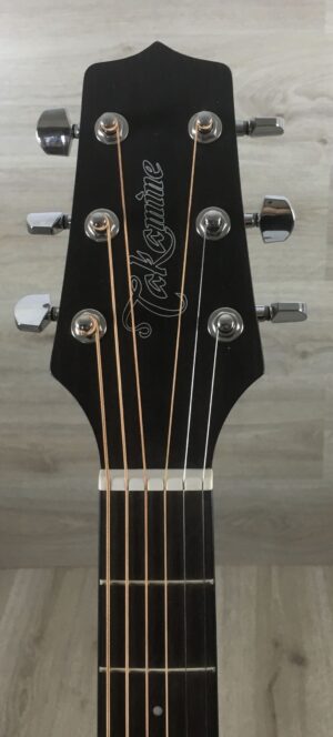 Takamine GD10NS