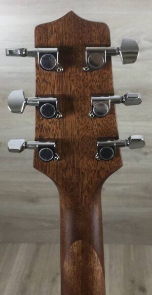 Takamine GD10NS