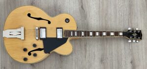 Tamaki Archtop L5