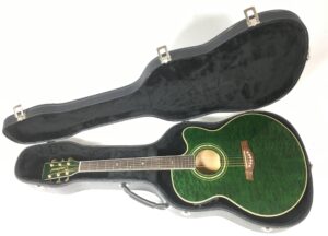 Tanglewood  Sundance TW-57 con custodia rigida