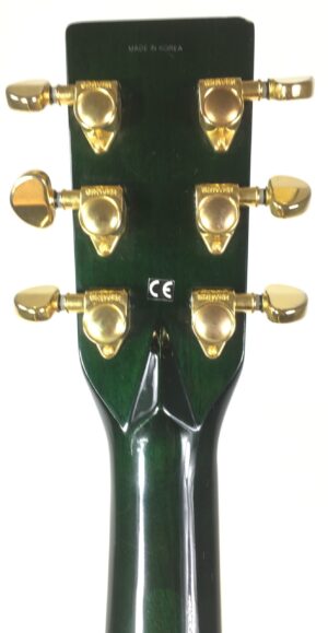 Tanglewood  Sundance TW-57 con custodia rigida