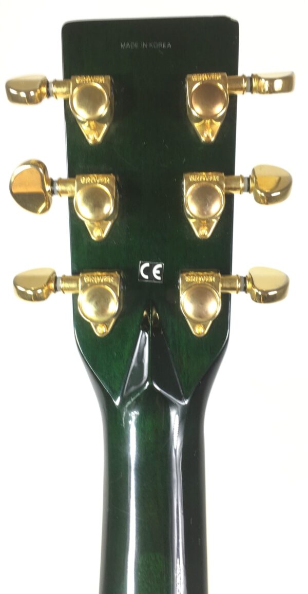 Tanglewood  Sundance TW-57 con custodia rigida