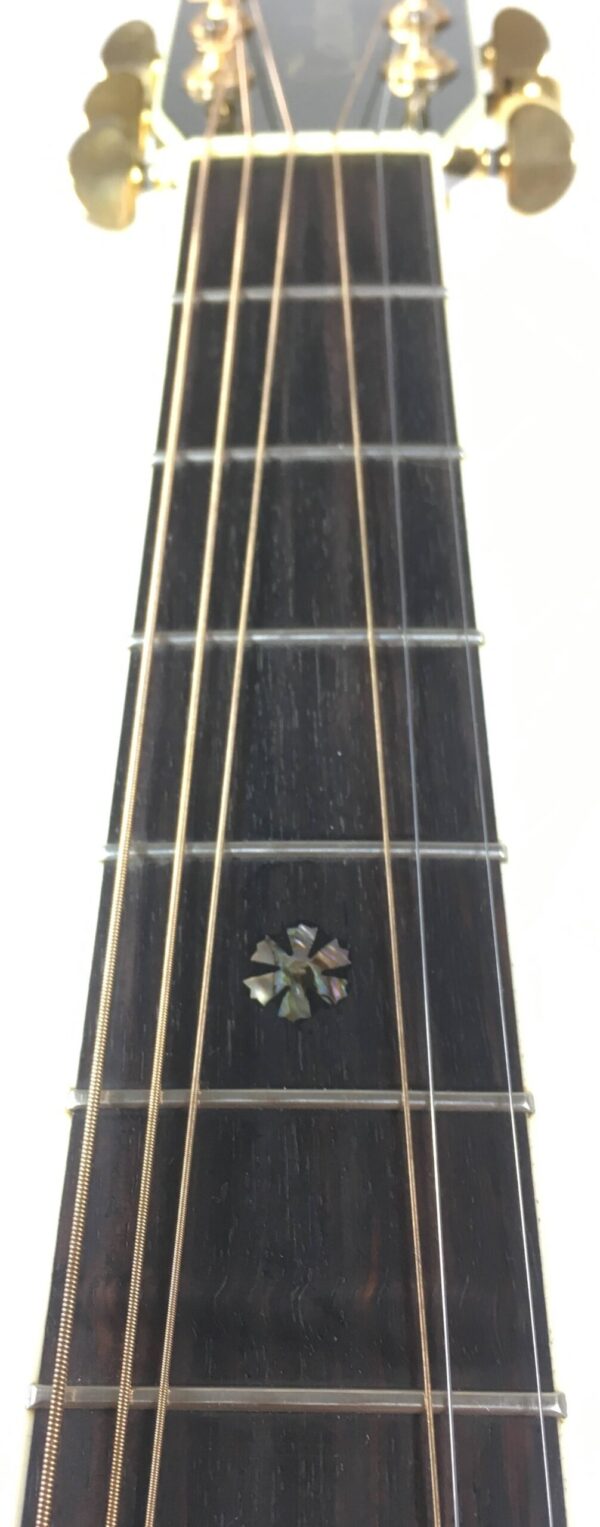 Tanglewood  Sundance TW-57 con custodia rigida
