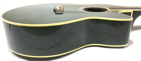 Tanglewood  Sundance TW-57 con custodia rigida