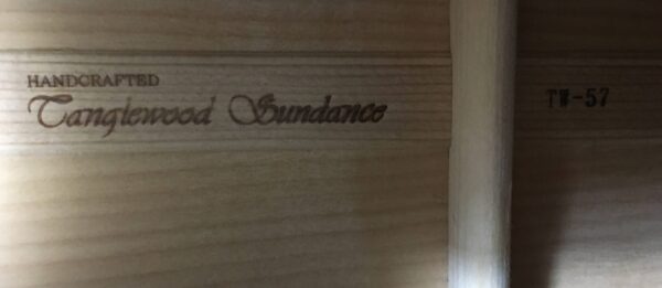 Tanglewood  Sundance TW-57 con custodia rigida