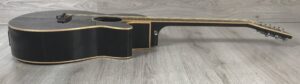 Tanglewood TSF CE BK