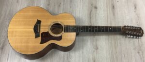 Taylor 555 amplificata EMG APA-2