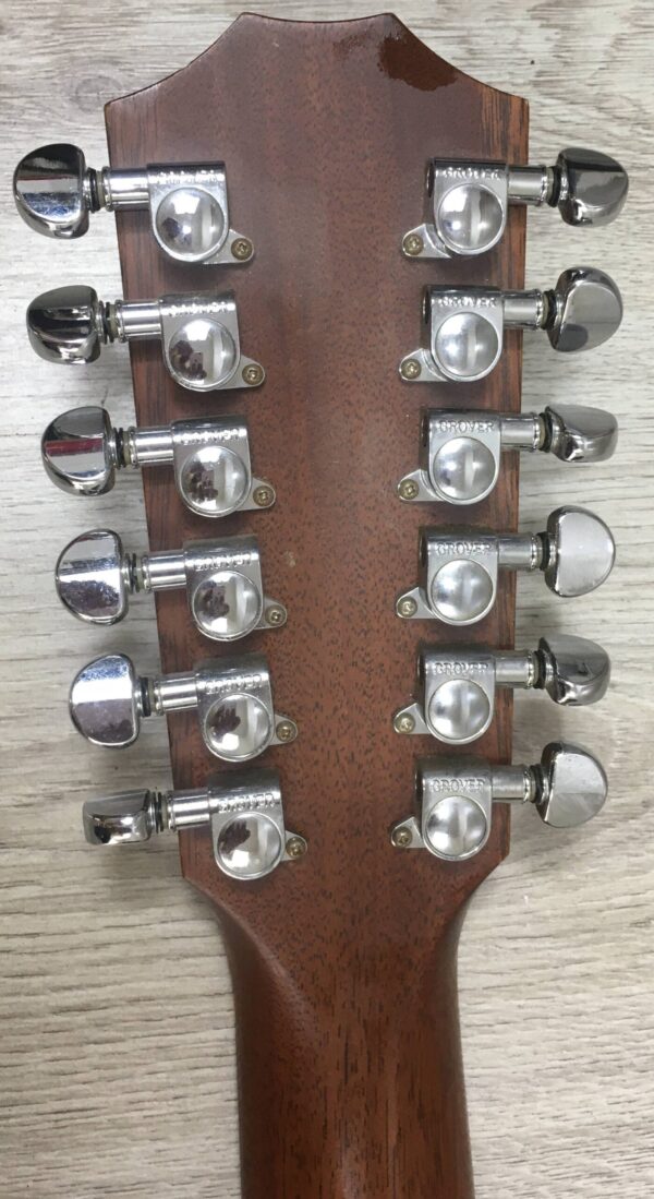 Taylor 555 amplificata EMG APA-2