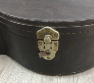 Taylor 555 amplificata EMG APA-2