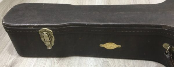 Taylor 555 amplificata EMG APA-2
