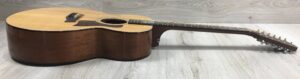 Taylor 555 amplificata EMG APA-2