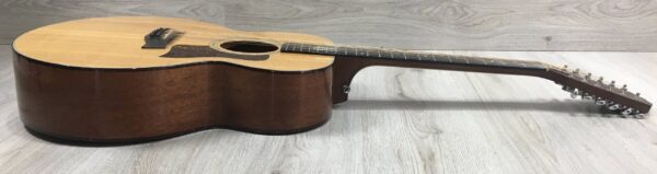 Taylor 555 amplificata EMG APA-2