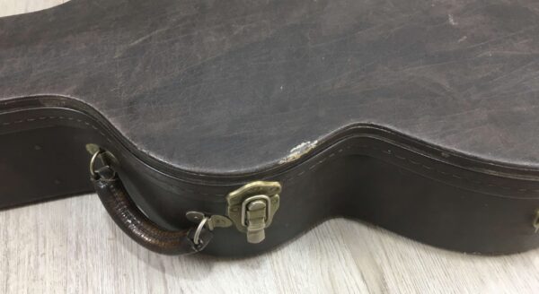 Taylor 555 amplificata EMG APA-2